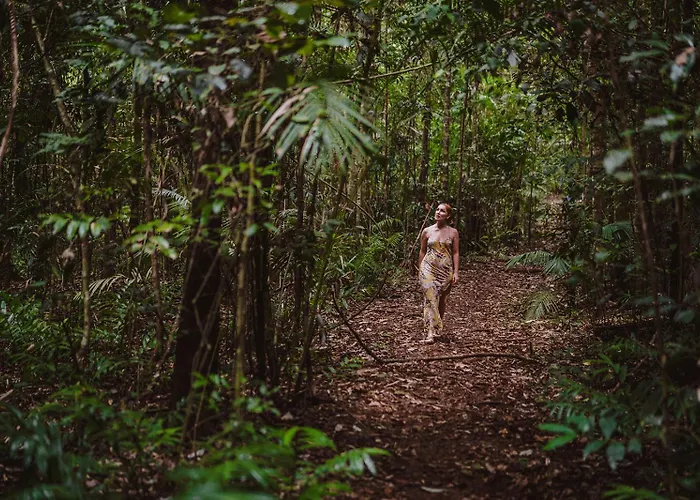 The Canopy Rainforest Treehouses & Wildlife Sanctuary