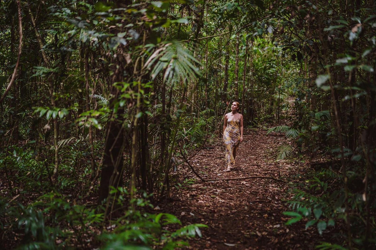 Lodge The Canopy Rainforest Treehouses & Wildlife Sanctuary *