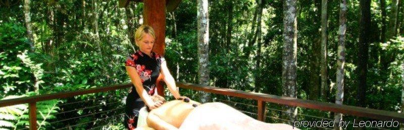 Lodge The Canopy Rainforest Treehouses & Wildlife Sanctuary Tarzali