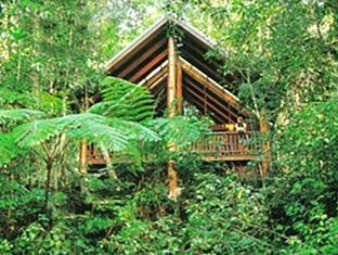 The Canopy Rainforest Treehouses & Wildlife Sanctuary Lodge *