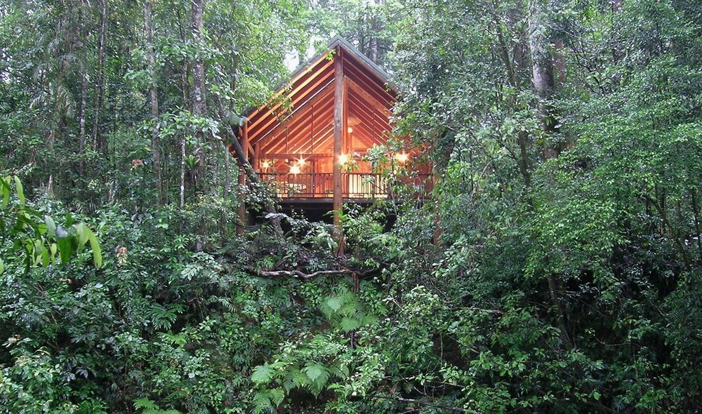Lodge The Canopy Rainforest Treehouses & Wildlife Sanctuary *