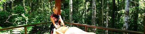 Lodge The Canopy Rainforest Treehouses & Wildlife Sanctuary