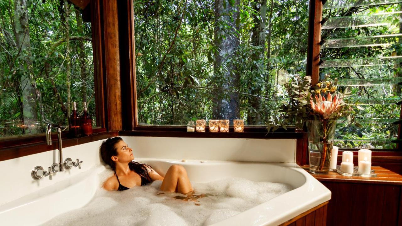 The Canopy Rainforest Treehouses & Wildlife Sanctuary Lodge *