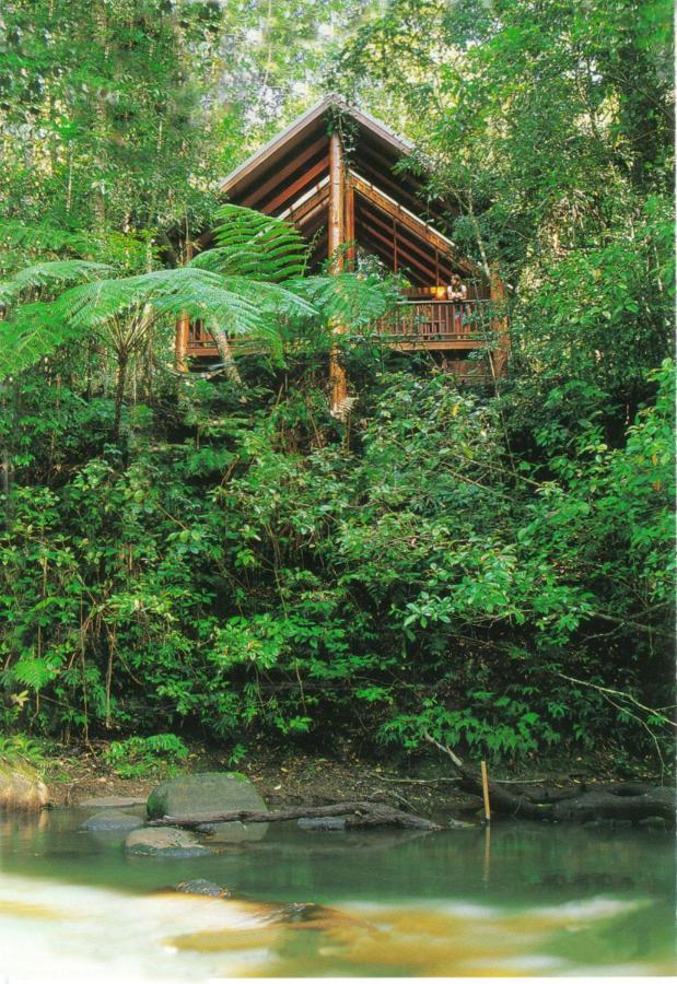 The Canopy Rainforest Treehouses & Wildlife Sanctuary Tarzali