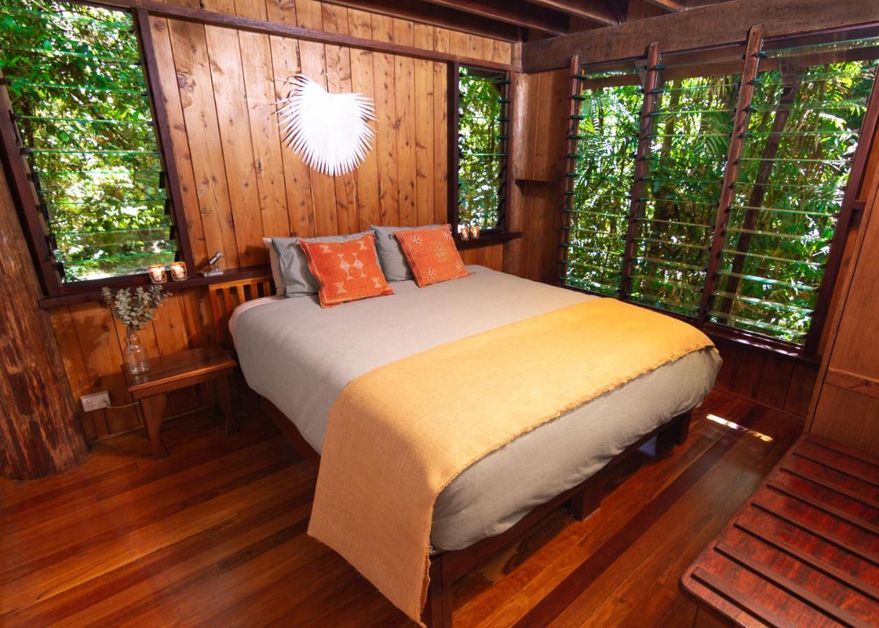 Lodge The Canopy Rainforest Treehouses & Wildlife Sanctuary Tarzali