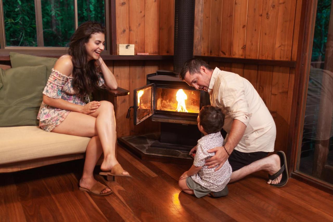 The Canopy Rainforest Treehouses & Wildlife Sanctuary Lodge Tarzali