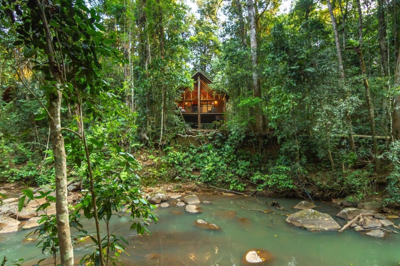 The Canopy Rainforest Treehouses & Wildlife Sanctuary Lodge *