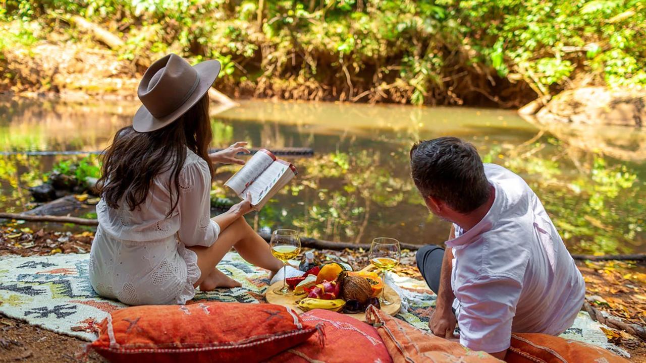 Lodge The Canopy Rainforest Treehouses & Wildlife Sanctuary Tarzali