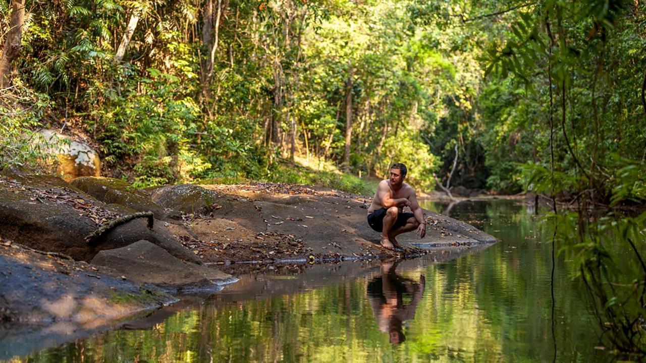 The Canopy Rainforest Treehouses & Wildlife Sanctuary Lodge Tarzali