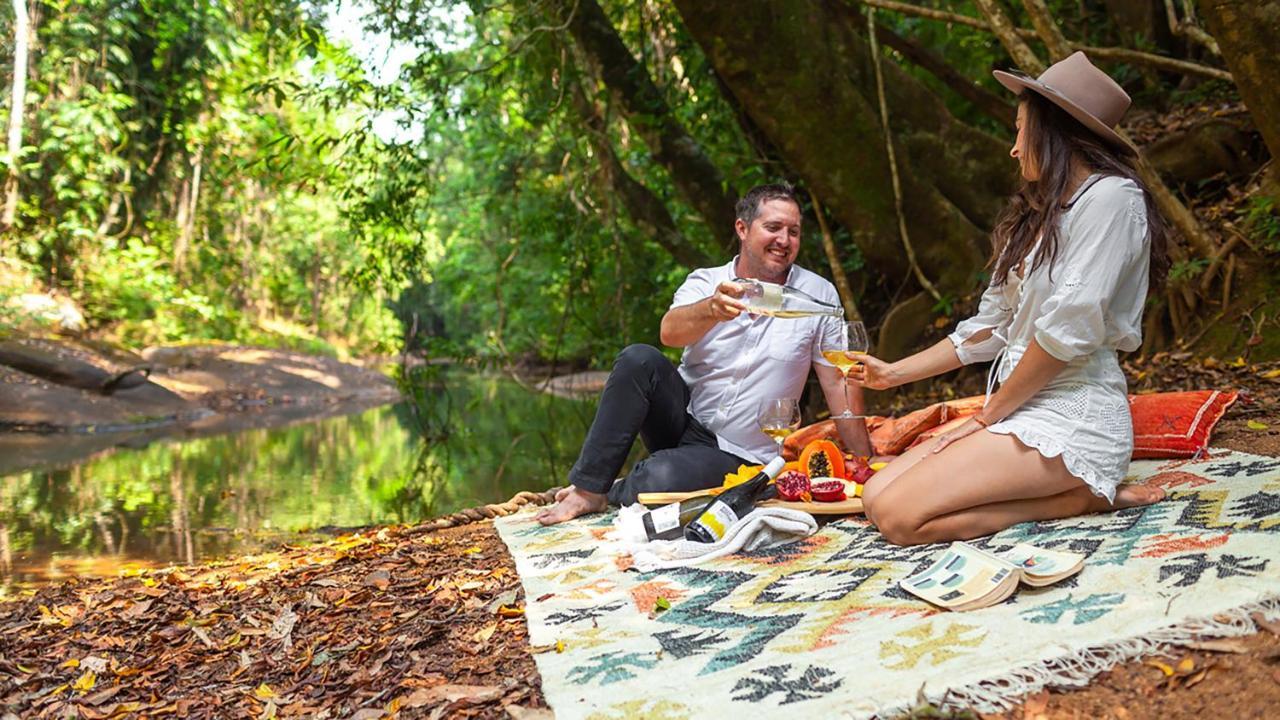 Lodge The Canopy Rainforest Treehouses & Wildlife Sanctuary *