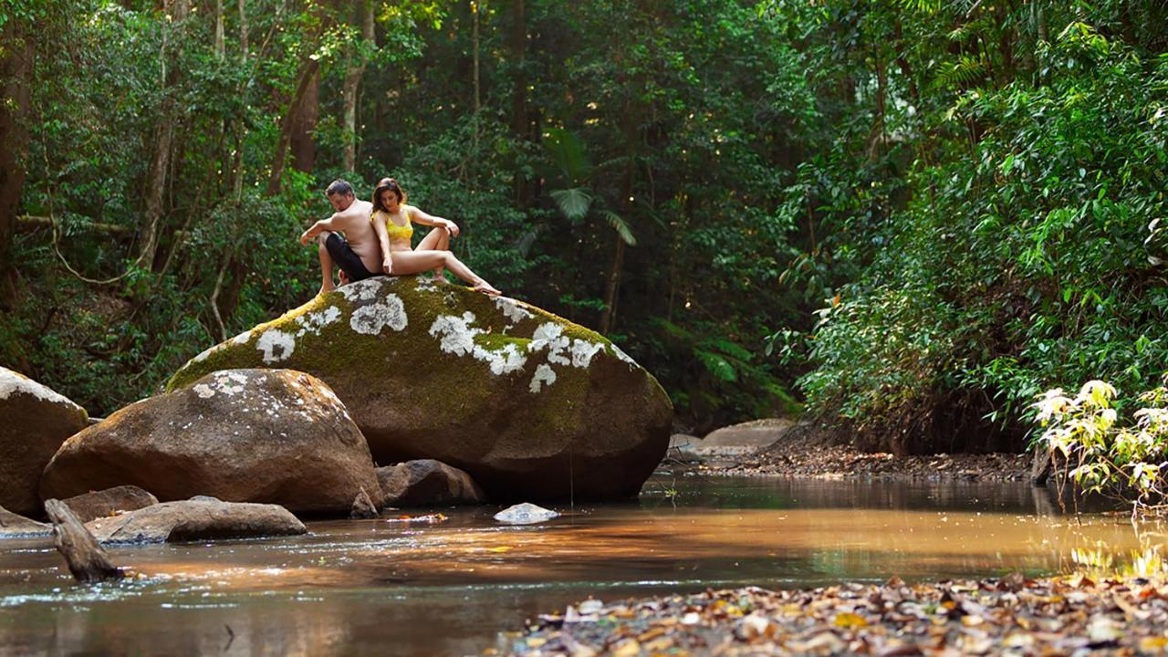 Lodge The Canopy Rainforest Treehouses & Wildlife Sanctuary Tarzali