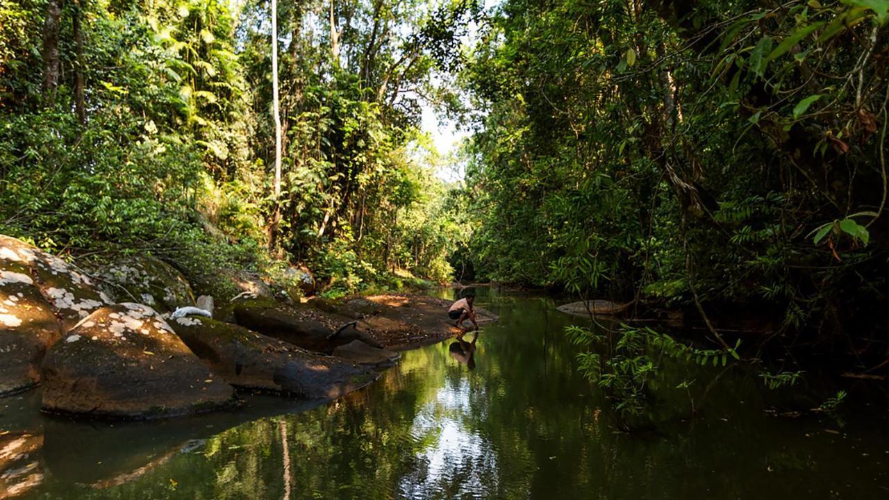 The Canopy Rainforest Treehouses & Wildlife Sanctuary *