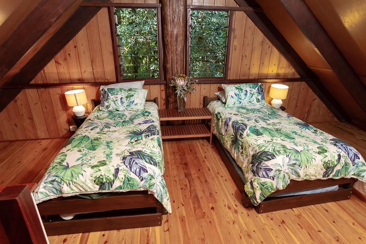 The Canopy Rainforest Treehouses & Wildlife Sanctuary Lodge *
